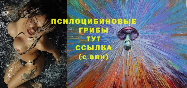 круглые Аркадак