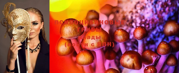 круглые Аркадак