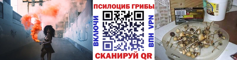 Галлюциногенные грибы Cubensis  blacksprut tor  Белая Холуница  где купить  