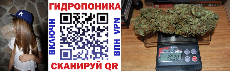 Шишки марихуана Bruce Banner  что такое   Белая Холуница 